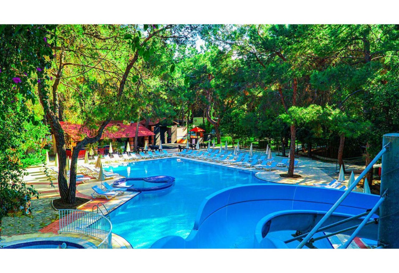 Festival Nature Hotel ケメル エクステリア 写真