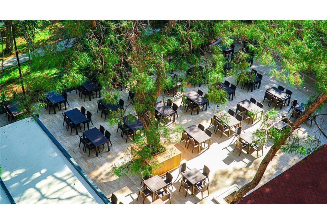 Festival Nature Hotel ケメル エクステリア 写真