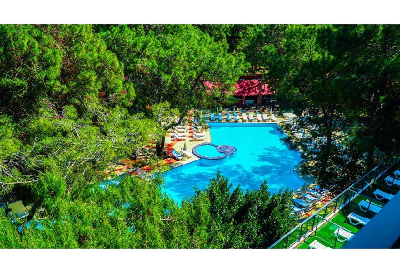Festival Nature Hotel ケメル エクステリア 写真