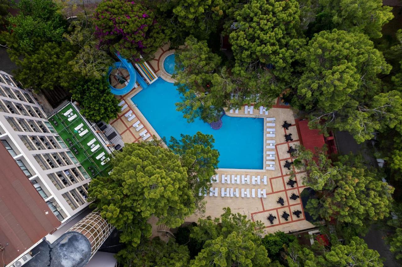 Festival Nature Hotel ケメル エクステリア 写真